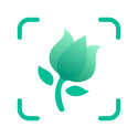 PictureThis: Identify Plant, Flower, Weed and More